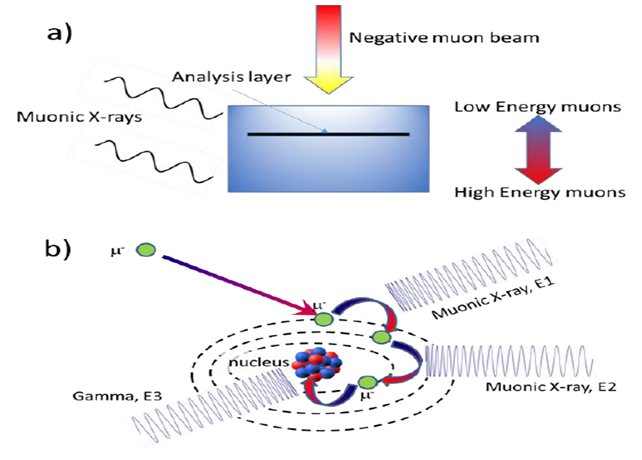 Negative Muon Elemental analysis using negative muons — MantidProject 6.15.20260604 ...