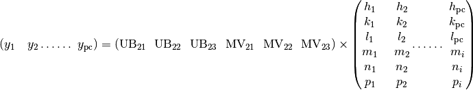 (y_{1}\text{\ \ \ }y_{2}\ldots\ldots\ y_{\text{pc}}) = \left( \text{UB}_{21}\text{\ \ }\text{UB}_{22}\text{\ \ }\text{UB}_{23}\ \text{\ MV}_{21}\ \text{\ MV}_{22\ }\text{\ MV}_{23} \right) \times \left( \begin{matrix}
\begin{matrix}
h_{1} \\
k_{1} \\
l_{1} \\
\end{matrix} \\
\begin{matrix}
m_{1} \\
n_{1} \\
p_{1} \\
\end{matrix} \\
\end{matrix}\text{\ \ \ \ }\begin{matrix}
\begin{matrix}
h_{2} \\
k_{2} \\
l_{2} \\
\end{matrix} \\
\begin{matrix}
m_{2} \\
n_{2} \\
p_{2} \\
\end{matrix} \\
\end{matrix}\ldots\ldots\ \begin{matrix}
\begin{matrix}
h_{\text{pc}} \\
k_{\text{pc}} \\
l_{\text{pc}} \\
\end{matrix} \\
\begin{matrix}
m_{i} \\
n_{i} \\
p_{i} \\
\end{matrix} \\
\end{matrix} \right)